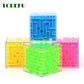 Maze Magic Cube Puzzle